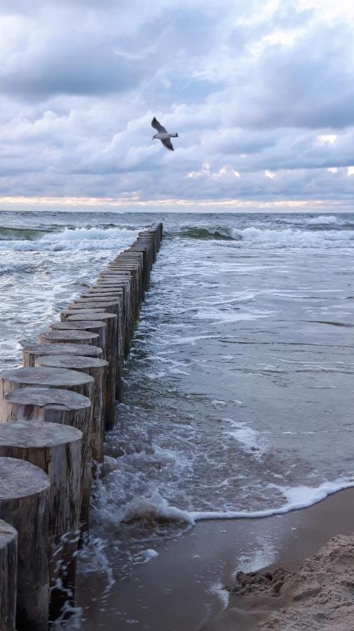 Domki Letniskowe Wiktorek Dziwnówek Esterno foto
